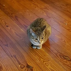 Meet your Posher, Cindy